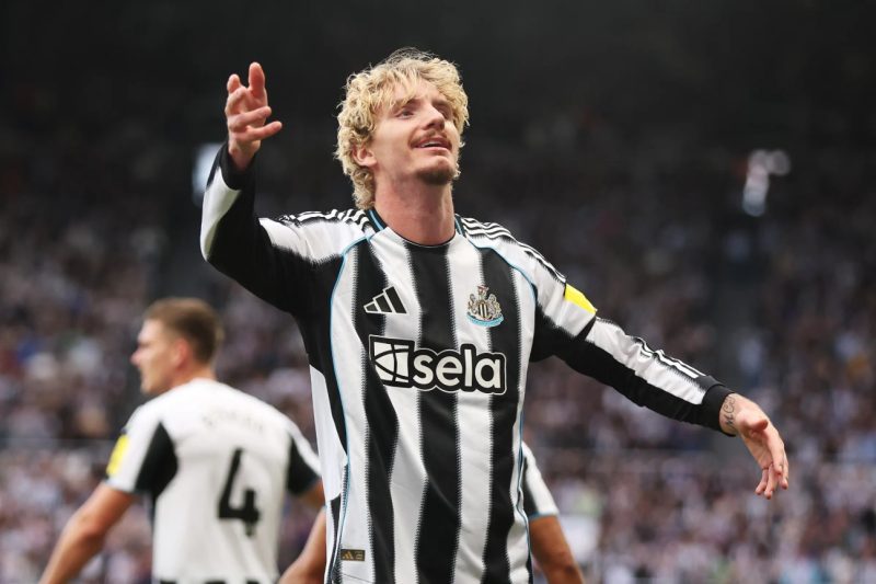 Brighton & Hove Albion vs Newcastle United
